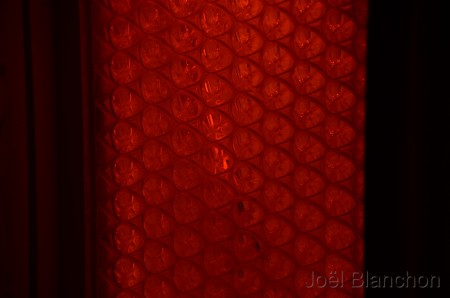 DSC_9648