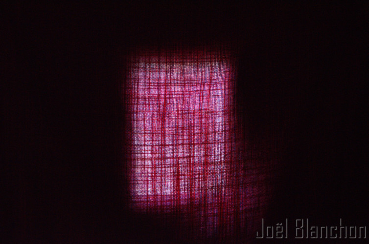 DSC_5341-11