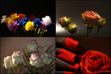 MONTAGE ROSES